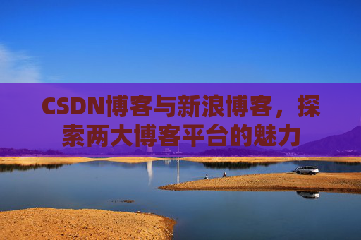 CSDN博客与新浪博客，探索两大博客平台的魅力